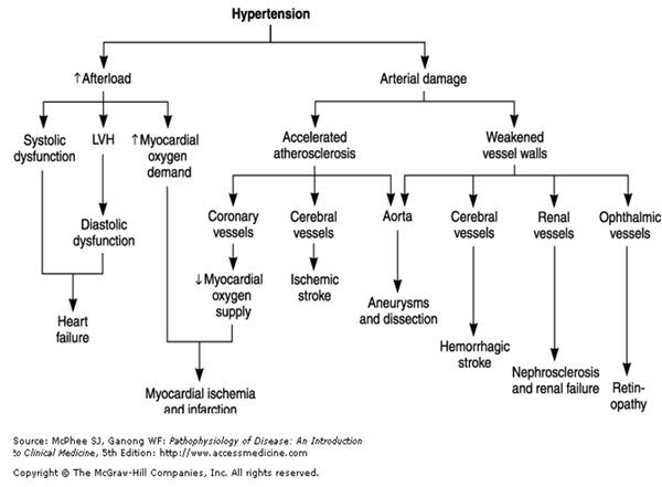 Patofisiología de la hipertensión y complicaciones